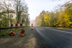 Défaut d’entretien normal et présence d’un massif de fleurs sur l’accotement d’une route départementale altérant la visibilité